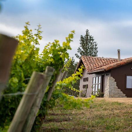 Bungalow Miramar & Jeronimo At Casa Marin Vineyards Bed & Breakfast การ์ตาเฮนา ภายนอก รูปภาพ