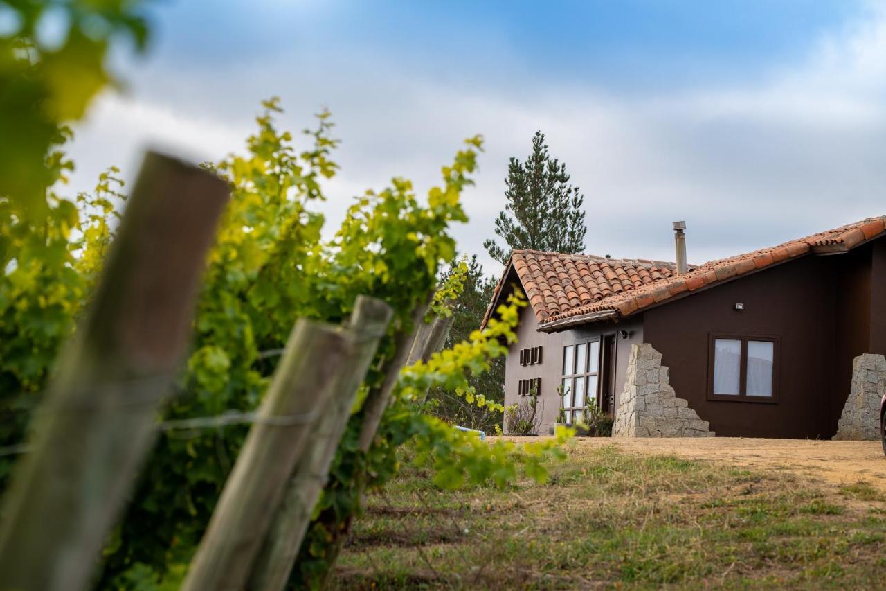 Bungalow Miramar & Jeronimo At Casa Marin Vineyards Bed & Breakfast การ์ตาเฮนา ภายนอก รูปภาพ