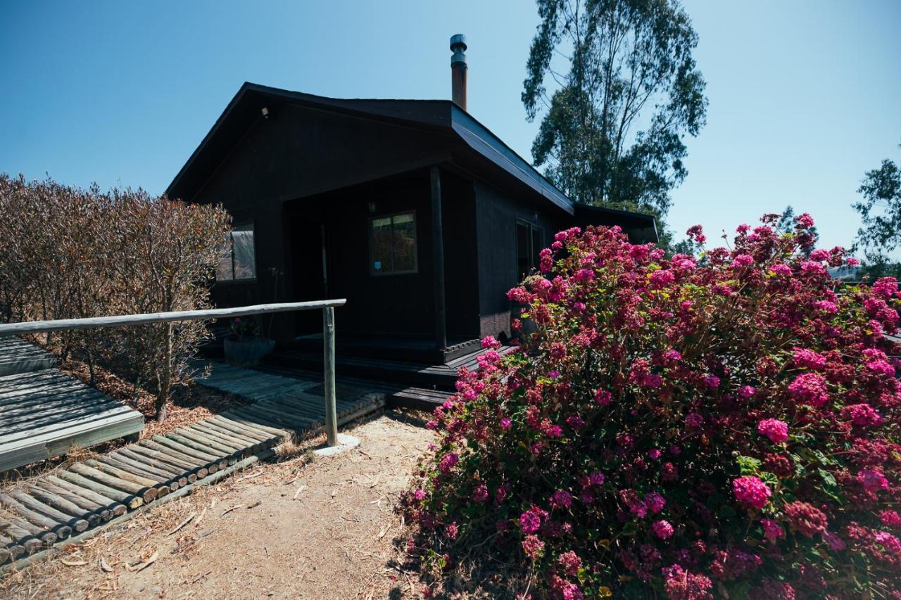 Bungalow Miramar & Jeronimo At Casa Marin Vineyards Bed & Breakfast การ์ตาเฮนา ภายนอก รูปภาพ